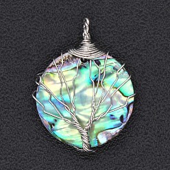 Silver Natural Paua Shell Pendants, Round with Tree of Life, Silver, 25x25mm