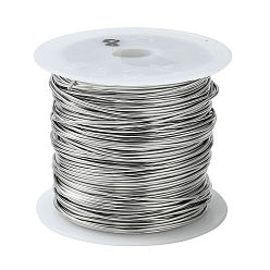 Нержавеющая Сталь Цвет Не тускнеет 316 хирургическая проволока из нержавеющей стали, для изготовления ювелирных изделий, цвет нержавеющей стали, 20 датчик, 0.8 мм, около 26.24 футов (8 м) / рулон
