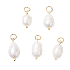 Золотой Подвески из натурального культивированного пресноводного жемчуга и риса, с 304 кольцами из нержавеющей стали, цвет морской раковины, золотые, 16~20x8~10 мм, отверстие : 4 мм