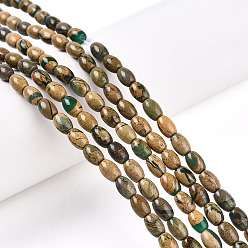Природный Драгоценный Камень Нити бусин из натурального камня вердит, рис, 5~6x4~5 мм, отверстие : 0.6 мм, около 63~67 шт / нитка, 14.96~15.16 дюйм (38~38.5 см)