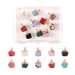 Mixed Stone 10Pcs 10 Style Electroplate Mixed Gemstone Charms, with Golden Iron Findings, Faceted, Star Cut Round, 1pc/style