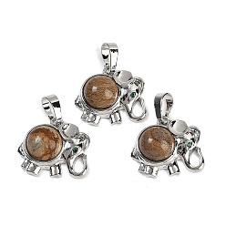 Пейзажный Джаспер Естественного изображения яшмы подвески, подвески в виде слона из латуни с покрытием из стразов, платина, без кадмия и без свинца, 17.5x20.5x8 мм, отверстие : 5x8 мм