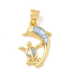 Настоящее золото 18K Латунь эмаль подвески, с естественной оболочке, подвески в виде дельфина и черепахи, долговечный, стойки покрытие, без свинца и без кадмия, реальный 18 k позолоченный, 19x13x3 мм, отверстие : 4.5x3.5 мм