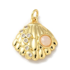 Настоящее золото 14K Латунные микропаве прозрачные подвески с фианитом, с пластиком и кольцом для прыжков, подвески в форме ракушек, реальный 14 k позолоченный, 19x17.5x6.5 мм, отверстие : 3 мм