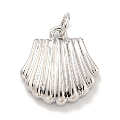 Платина Латунь прелести, с прыжковых колец, долговечный, без свинца и без кадмия, морские раковины, платина, 14.5x14x3 мм, отверстие : 3 мм