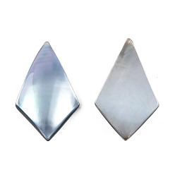 Bleu Ciel Cabochons turbo cornulus/top shells naturels, avec acrylique et coque à lèvres noire, teint, cerf-volant, bleu ciel, 20x12x3.5~4mm