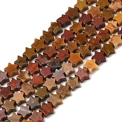 Океанический Джаспер Океан Природный яшмы бисер нитей, звезда, 5.5~6x5.5~6x2.5 мм, отверстие : 1 мм, около 76 шт / нитка, 15.31~15.35'' (38.9~39 см)