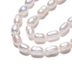 Seashell Color Natural Cultured Freshwater Pearl Beads Strands, Rice, Seashell Color, 4~7.5x3~4mm, Hole: 0.6mm, about 63~64pcs/strand, 13.58 inch(34.5cm)