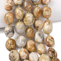 Сумасшедший Агат Природные сумасшедший агат бисер нитей, самородки, упавший камень, с бисером, 12~20x9~15x7~15 мм, отверстие : 1 мм, около 21~24 шт / нитка, 15.35''~15.75'' (39~40 см)