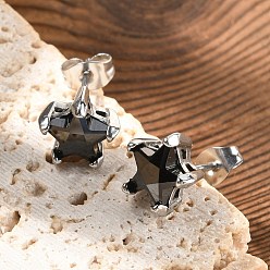 Black 316 Surgical Stainless Steel Stud Earrings, with Cubic Zirconia, Star, Platinum, Black, 9.5x10mm