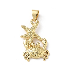 Краб Латунные подвески, реальный 18 k позолоченный, краб, 21x13x2.5 мм, отверстие : 3.5x4.4 мм