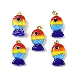 Разноцветный Подвески лэмпворк ручной работы, рыбы прелести, с реечной накладкой из латуни с золотистым напылением, долговечный, красочный, 23~23.5x12~13x8~10 мм, отверстие : 4.4x3.8 мм