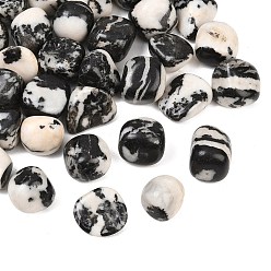 Jaspe Zébré Perles de jaspe zébrées naturel, pierre tombée, nuggets, pas de trous / non percés, gemmes de remplissage de vase, 20~35x22~40x14~27mm