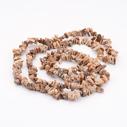 Picture Jasper Natural Picture Jasper Chips Beads Strands, 5~8mm, hole: about 0.3mm, 31~33 inch Long