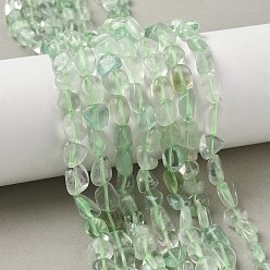 Зеленый Естественный зеленый флюорит бисер нитей, самородки, упавший камень, зелёные, 8~15x7~10x4~6 мм, отверстие : 0.9 мм, около 41~42 шт / нитка, 15.16'' (38.5 см) ~ 15.75'' (40 см)