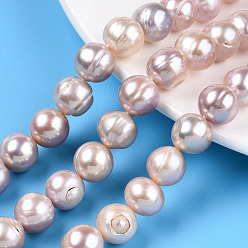 Misty Rose Natural Cultured Freshwater Pearl Beads Strands, Potato, Misty Rose, 10.5~12x9.5~12.5mm, Hole: 0.6mm, about 32~33pcs/strand, 13.78~13.98 inch(35~35.5cm)