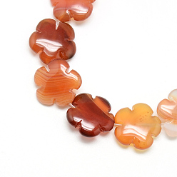 Red Agate Dyed Natural Red Agate Bead Strands, Flower, 15.5~16x16x6mm, Hole: 1mm, about 25pcs/strand, 15.1 inch