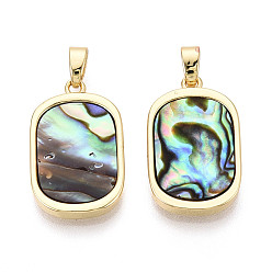 Раковина Природные пауа оболочки подвески, прямоугольник амулеты, с латунной, золотые, 21.5x13.5x2.5 мм, отверстие : 5.5x2.5 мм