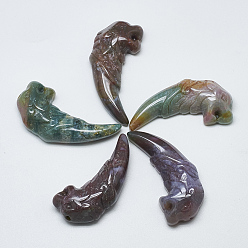 (RRHB277) Кристалл на подкладке из медово-бежевого цвета Естественно индийский агат большие кулоны, Форма зуба волка, 49~53x22~24x9~13 мм, отверстие : 1 мм