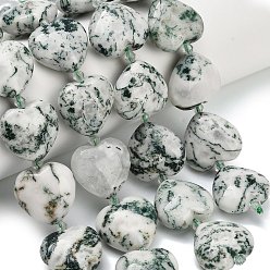 Древесный агат Натурального дерева агат бисер нитей, сердце, с бисером, 19~19.5x20~20.5x9.5~10 мм, отверстие : 1.4 мм, около 17 шт / нитка, 14.80'' (37.6 см)