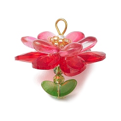Красный Подвески из стекла и акрила, очарование лотоса, с золотой железной петлей, красные, 31x35 мм, отверстие : 5x3.5 мм