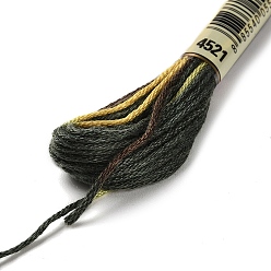 Olive 10 Skeins 6-Ply Polyester Embroidery Floss, Cross Stitch Threads, Segment Dyed, Olive, 0.5mm, about 8.75 Yards(8m)/skein
