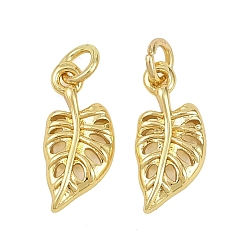 Настоящее золото 18K Латунные подвески, лист прелести, с целью перехода в кольце, реальный 18 k позолоченный, 13x6x2 мм, отверстие : 2.5 мм