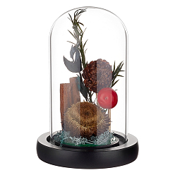 Noir Couvercle de dôme en verre en arc, vitrine décorative, terrarium cloche cloche avec base en bois, noir, 93x130mm