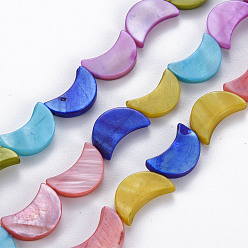 (52) Непрозрачная лаванда Естественных пресноводных оболочки бисер нитей, окрашенные, луна, разноцветные, 15x10x2~3 мм, отверстие : 0.9 мм, около 24 шт / нитка, 13.98'' (35.5 см)