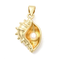 Настоящее золото 18K Подвески из искусственного жемчуга из латуни и АБС, формы раковины, долговечный, стойки покрытие, без свинца и без кадмия, реальный 18 k позолоченный, 20x13.5x6.5 мм, отверстие : 4x3.5 мм