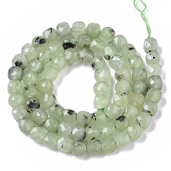 Prehnite Natural Prehnite Beads Strands, Faceted, Cube, 5~5.5x5~5.5x5~5.5mm, Hole: 1.2mm, about 70pcs/strand, 14.96 inch(38cm)