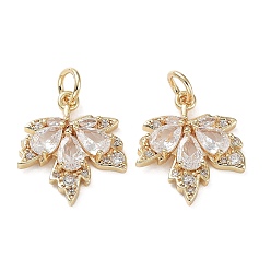 Настоящее золото 14K Подвески из латуни с покрытием из прозрачного кубического циркония, долговечный, без кадмия и без свинца, с прыжковых колец, лист, реальный 14 k позолоченный, 19.5x17x3.5 мм, отверстие : 4 мм