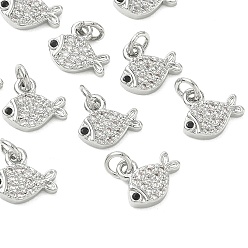 Real Platinum Plated SHEGRACE Brass Micro Pave Cubic Zirconia Pendants, Fish Charms, Cadmium Free & Nickel Free & Lead Free, Clear, Real Platinum Plated, 8x9x2mm, Hole: 3mm