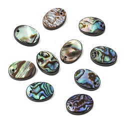 Oval Геометрические подвески из натуральных раковин пауа, красочный, овальные, 14.5x10.5x3.5 мм, отверстие : 1.5 мм