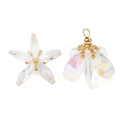 Прозрачный Стеклянные подвески, цветочный шарм, с латунными петлями и бисером, граненые, прозрачные, 23~24x24~26 мм, отверстие : 2.5~3x3~3.5 мм