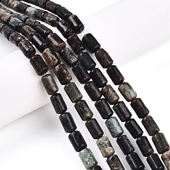 Биотит Природного биотита нитей бисера, баррель, 9.5~10.5x6~7 мм, отверстие : 0.7 мм, около 38 шт / нитка, 15.16~15.35 дюйм (38.5~39 см)