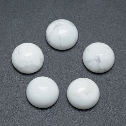 Howlite Natural Howlite Cabochons, Grade A, Half Round, 6x3~3.5mm