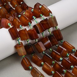 Red Agate Натуральный красный агат бисер нитей, окрашенная и подогревом, треугольной призмы, 14~19x12~13x12~13 мм, отверстие : 2 мм, около 18 шт / нитка, 16.34~16.93'' (41.5~43 см)