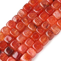 Оранжево-Красный Естественные выветрившиеся агатовые бусины, окрашенная и подогревом, кубические, оранжево-красный, 9~10x9~10x9~10 мм, отверстие : 1 мм, около 40 шт / нитка, 14.37'' (36.5 см)