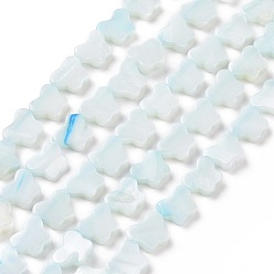 Аква Естественных пресноводных оболочки бисер нитей, окрашенные, бабочка, вода, 8x10x2.5 мм, отверстие : 0.8 мм, около 40 шт / нитка, 15.39'' (39.1 см)