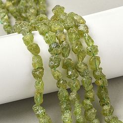 Перидот Необработанные грубые натуральные нити бусин перидота, самородки, 6~24x7~16x4~10 мм, отверстие : 1 мм, около 25~38 шт / нитка, 15.35~15.94'' (39~40.5 см)