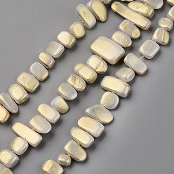 Бледно-Золотистый Бусины из натуральных пресноводных ракушек, окрашенные распылением, осколки оболочки, чип, бледно золотарник, 5~9x8~26x3~6 мм, отверстие : 0.8 мм, около 41~45 шт / нитка, 13.78 дюйм ~ 14.96 дюйм (35~38 см)