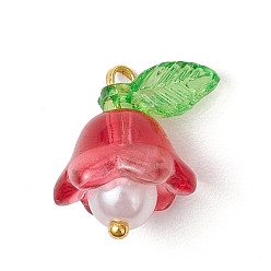 Светло-Вишневый Стеклянные подвески, цветок, с акриловыми и пластиковыми бусинами, имитирующими жемчуг, и золотистой латунной петлей, светло-вишневый, 15.5x15x11 мм, отверстие : 1.2 мм