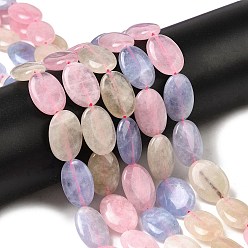 (52) Непрозрачная лаванда Натуральные окрашенные малайзийские нефритовые бусины, плоская овальная форма, разноцветные, 18~18.5x12~13x4.5~5 мм, отверстие : 1 мм, около 22 шт / нитка, 15.75'' (40 см)