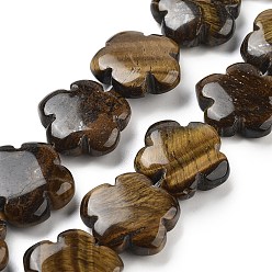 Тигровый глаз Природных тигровый глаз бисер нитей, цветок, 20x20x6 мм, отверстие : 1.4 мм, около 20 шт / нитка, 14.57~14.96 дюйм (37~38 см)