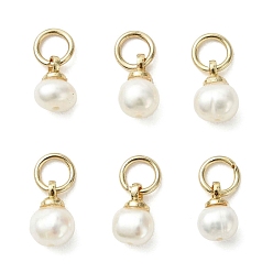 Золотой Подвески из натурального пресноводного жемчуга, картофельные подвески с 304 петлями из нержавеющей стали, кремово-белые, золотые, 7~8x4~5 мм, Перейти кольцо: 5x0.8 мм, внутренний диаметр: 3 мм