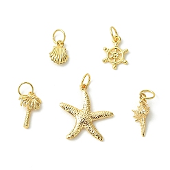 Золотой Латунные подвески, с 304 кольцами из нержавеющей стали, ракушка, морская звезда, кокосовая пальма и шлем, золотые, 10~18.5x6.5~15.5x1~3 мм, отверстие : 4.6 мм