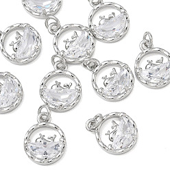 Platinum SHEGRACE Brass Clear Cubic Zirconia Pendants, Flat Round with Dolphin Charms, Cadmium Free & Lead Free & Nickel Free, Platinum, 12.5x10x3.5mm, Hole: 2.5mm