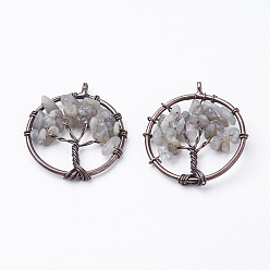 Лабрадорита Природные подвески лабрадорита, с латунной фурнитурой , Красная медь, плоские круглые с дерева жизни, 29x5~7 мм, отверстие : 4.5 мм