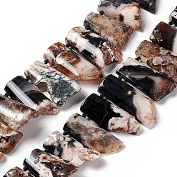 Вишневый агат Нити бусин из натурального черного вишневого агата, окрашенные, самородки, 25~49.5x21.5~24x8.5~10 мм, отверстие : 2~2.5 мм, около 19 шт / нитка, 16 дюйм